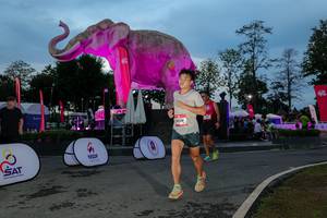 BIB: 
                            <button type="button" onclick="openModal(26529674)" class="btn btn-primary btn-sm float-right btn-popup" data-toggle="modal" data-target=".modal-high-quality">
                        <i class="fas fa-shopping-cart"></i> Add to Cart
                    </button>
                                            <button type="button" onclick="isThisMe(26529674, true)" class="btn btn-success btn-sm float-right btn-popup btn-isme hidden" data-toggle="tooltip" data-placement="bottom" title="นี่คือรูปของคุณใช่ไหม คลิกที่นี่เพื่อเอาเข้าอัลบั้ม">
                        <i class="fas fa-plus"></i> Add to album
                    </button>
                    <button type="button" onclick="isThisMe(26529674, false)" class="btn btn-warning btn-sm float-right btn-popup btn-isnotme hidden">
                        <i class="fas fa-ban"></i> Remove from album
                    </button>